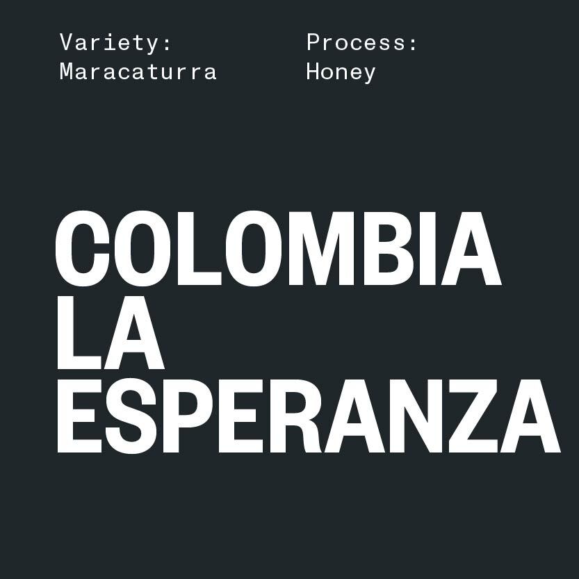 COLOMBIA La Esperanza Honey Maracaturra