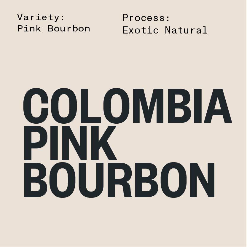 COLOMBIA SMALL LOT SERIES: PINK BOURBON EXOTIC (LOT #4)