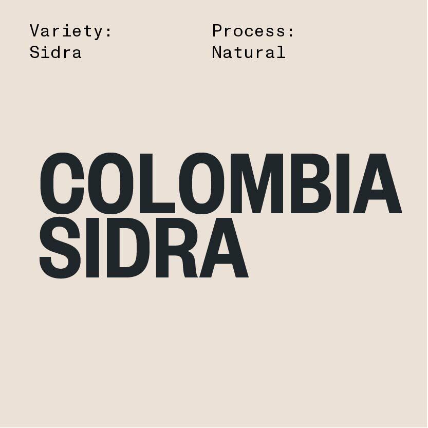 COLOMBIA SMALL LOT SERIES: Sidra Natural (Lot #1)