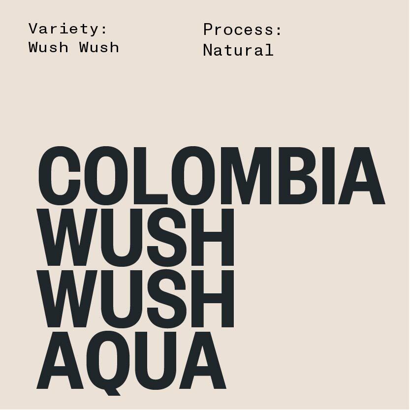 COLOMBIA SMALL LOT SERIES: Wush Wush Aqua (Lot #2)