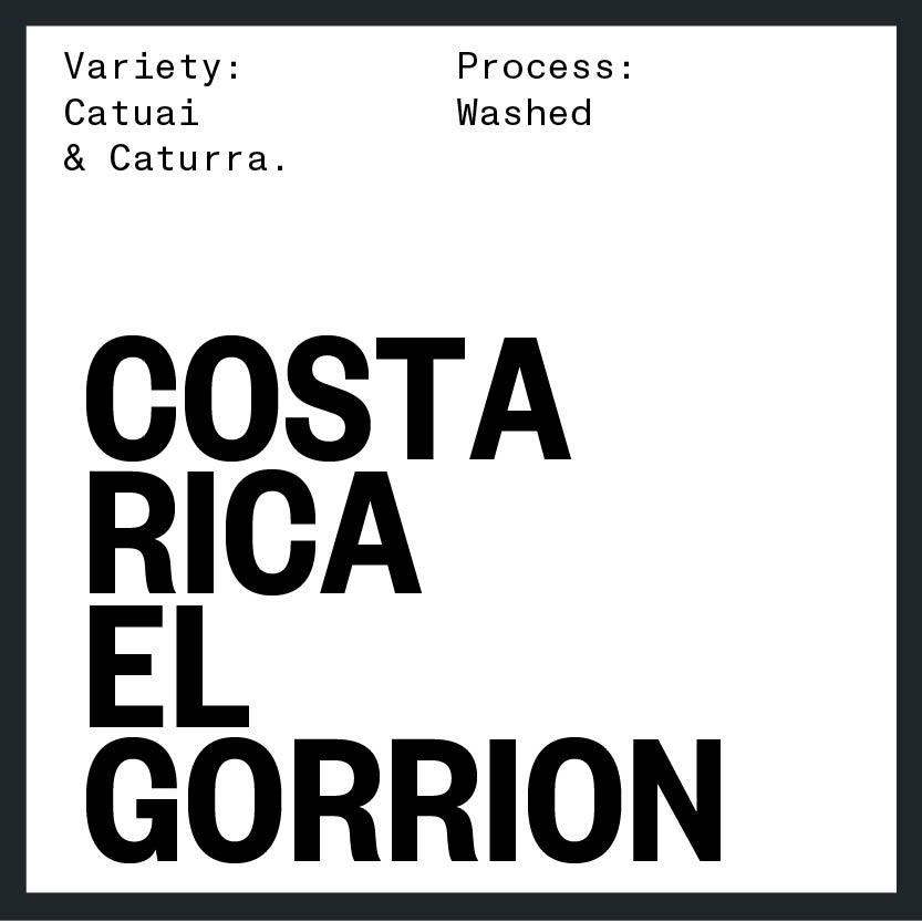 Costa Rica El Gorrion