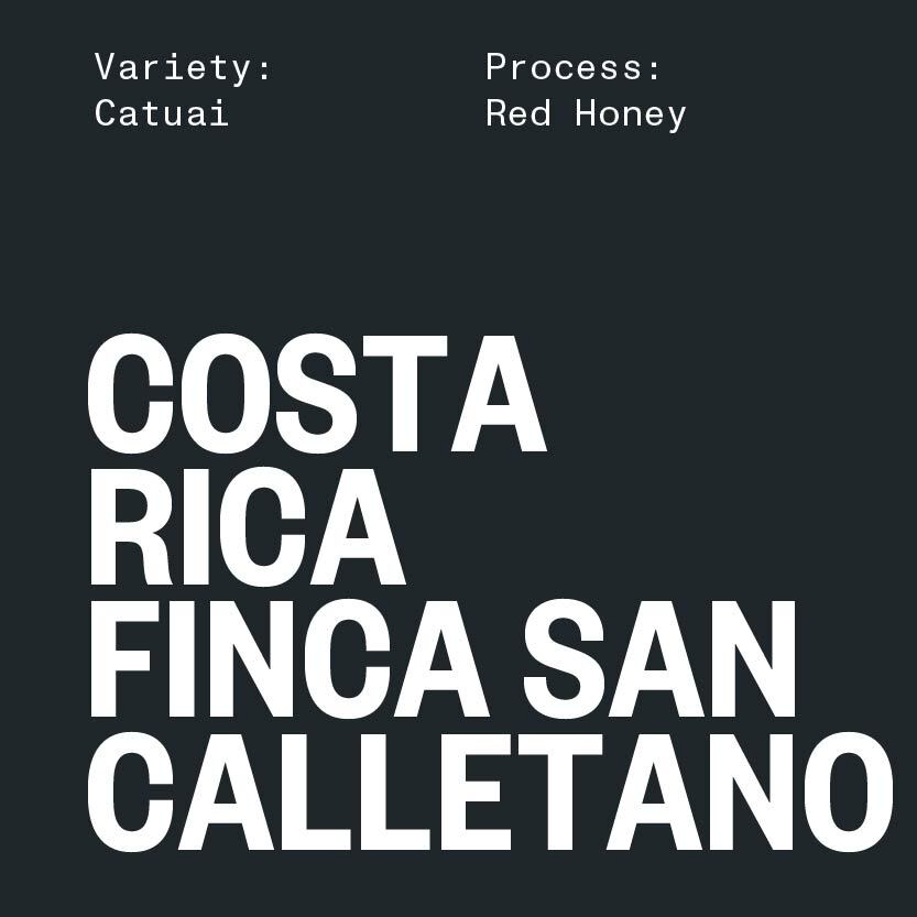 Costa Rica Finca San Calletano
