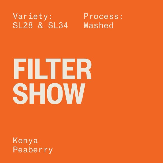 FILTER SHOW - KENYA PEABERRIES