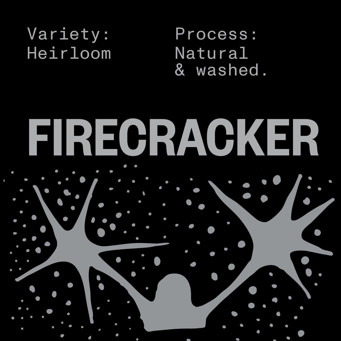 FIRECRACKER HIGH FIVE EDITION