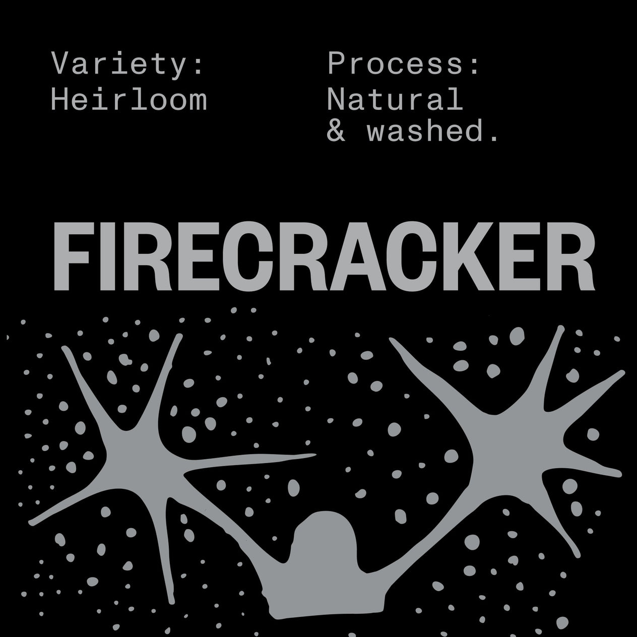 FIRECRACKER HIGH FIVE EDITION