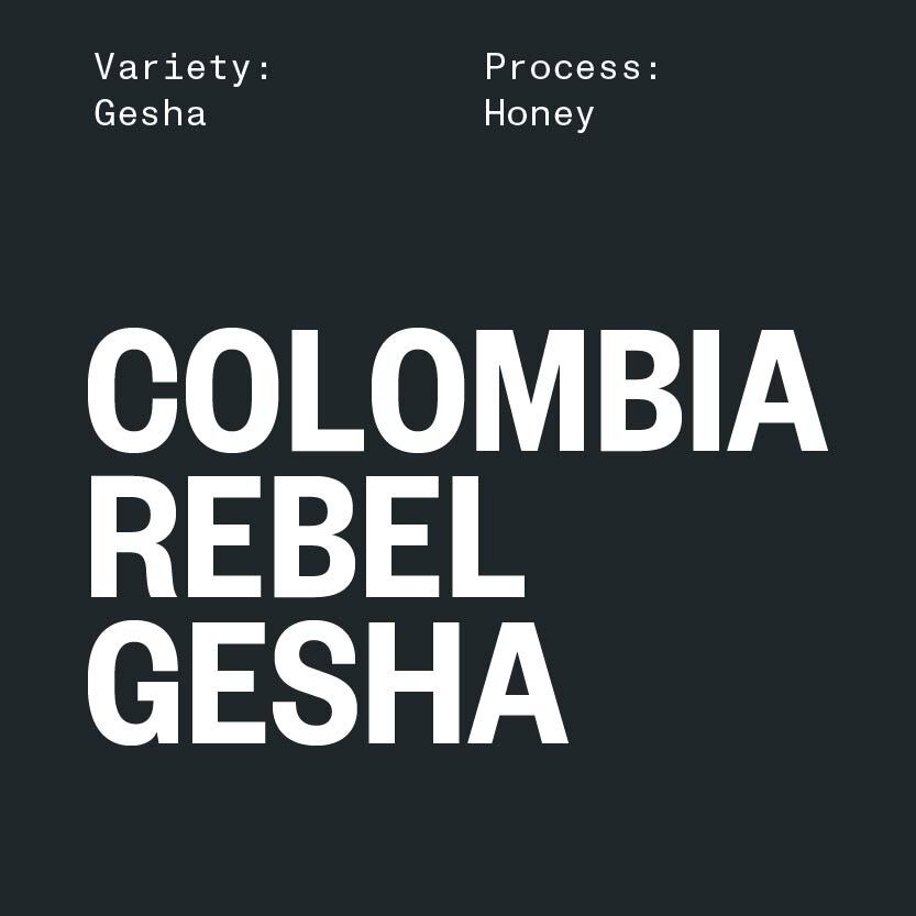 COLOMBIA REBEL GESHA BY ELIAS & SHADY BAYTER