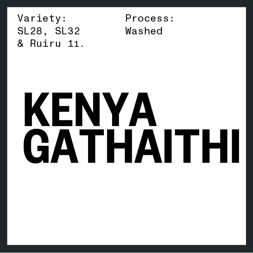 Kenya Gathithi