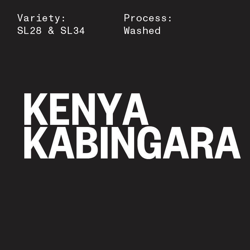 KENYA KABINGARA BY KARITHATHI FARMERS COOPERATIVE