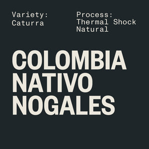 COLOMBIA NATIVO NOGALES