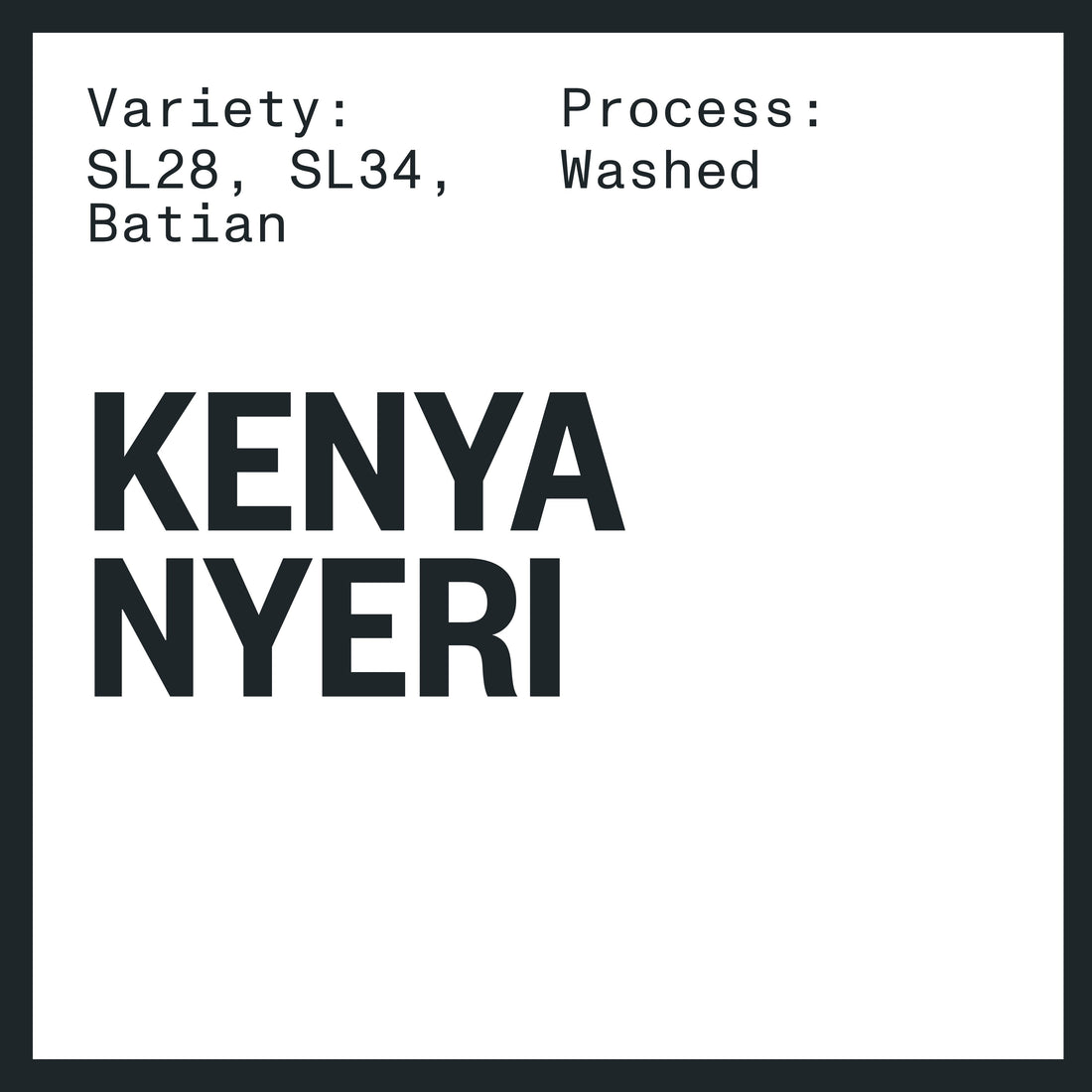 KENYA NYERI