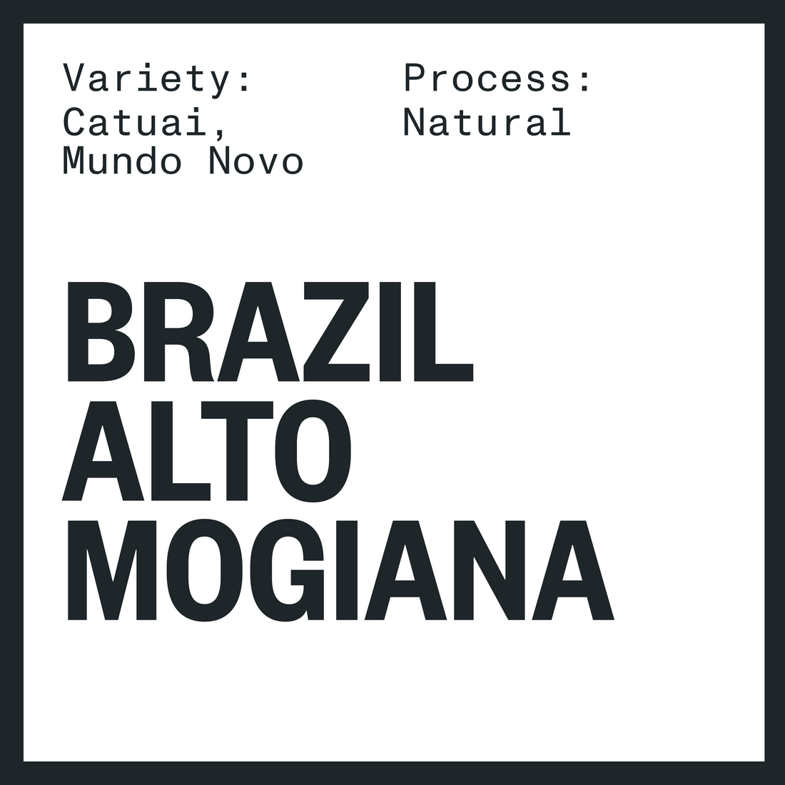 BRAZIL ALTO MOGIANA