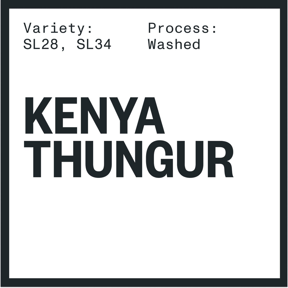 KENYA THUNGURI