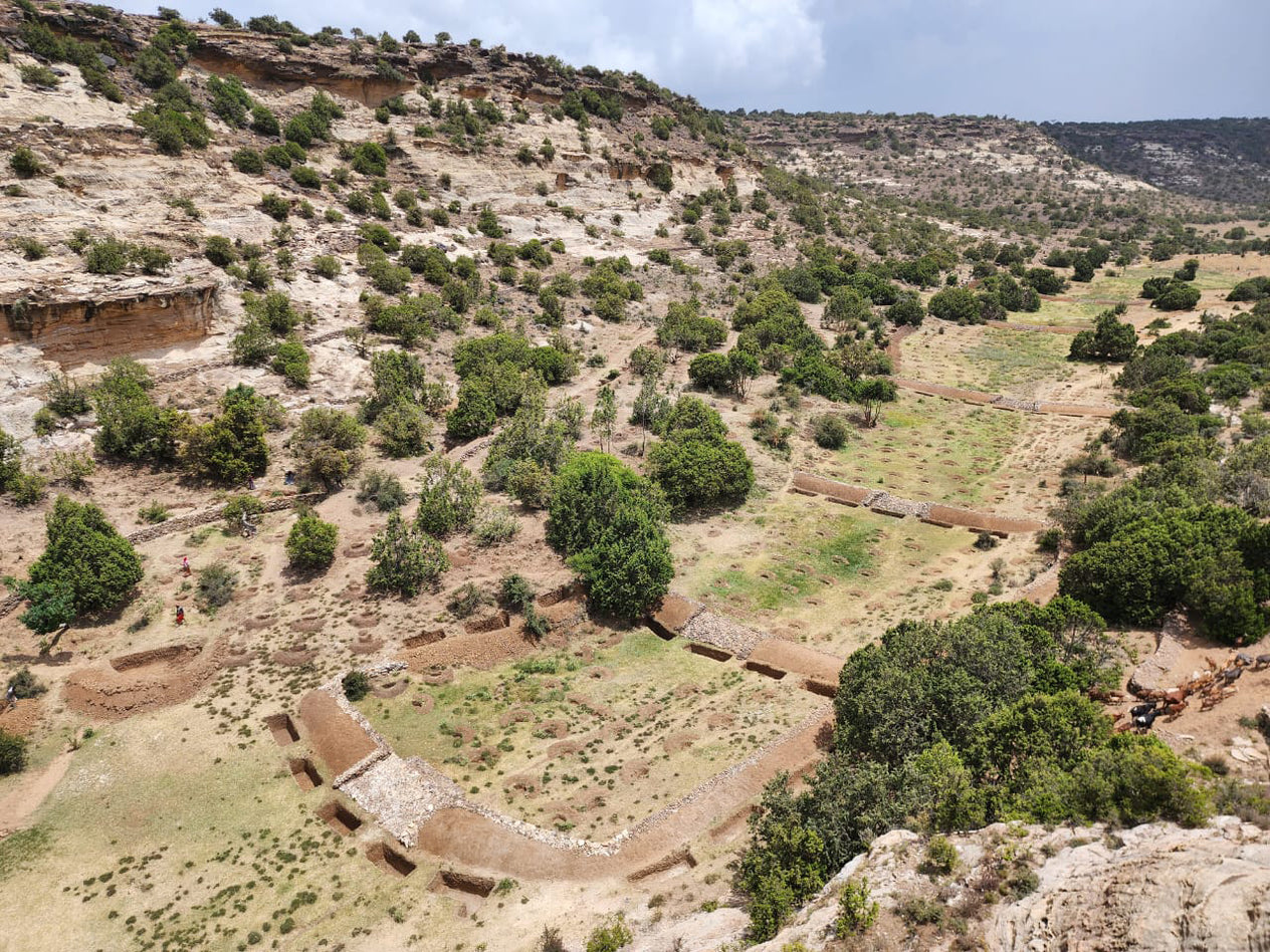 Collider 2 months - Gifting