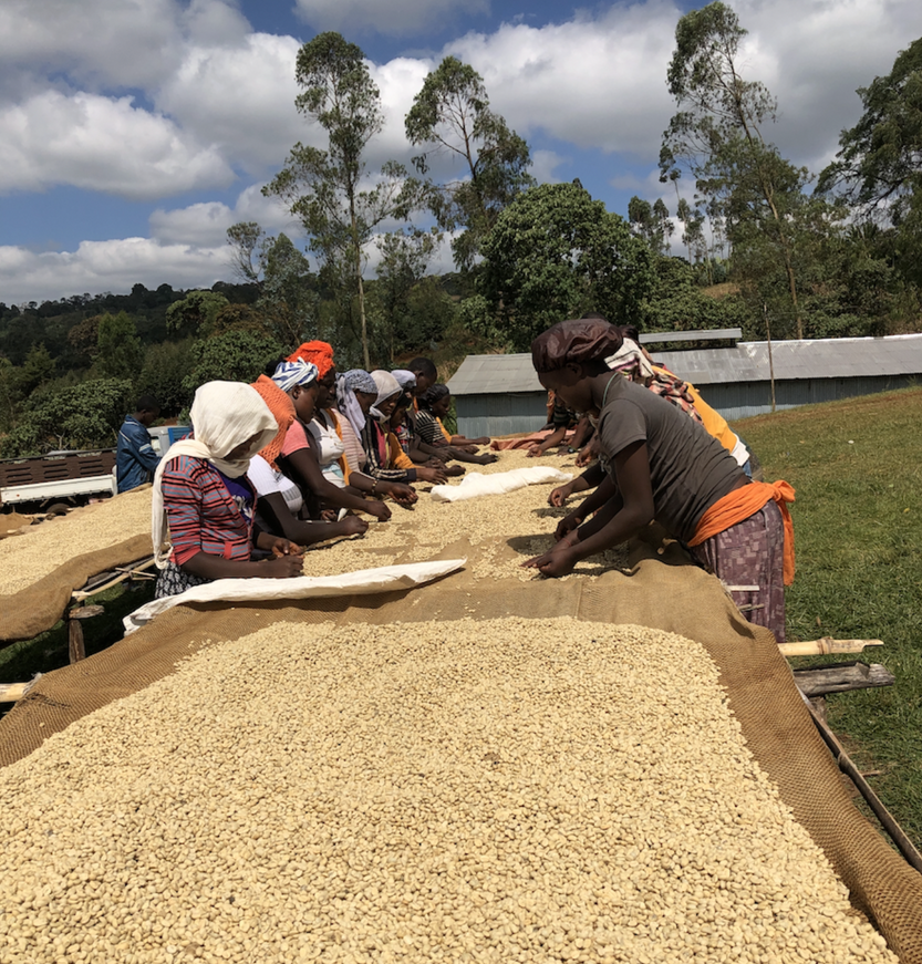 ETHIOPIA WONAGO