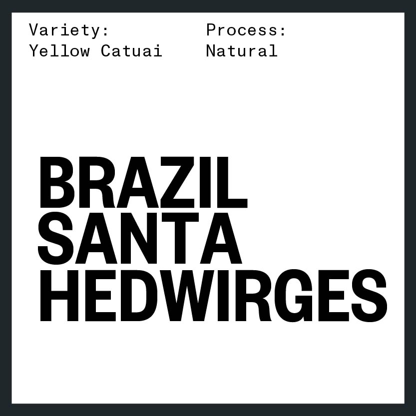 BRAZIL SANTA HEDWIRGES BY HUGO BRITO