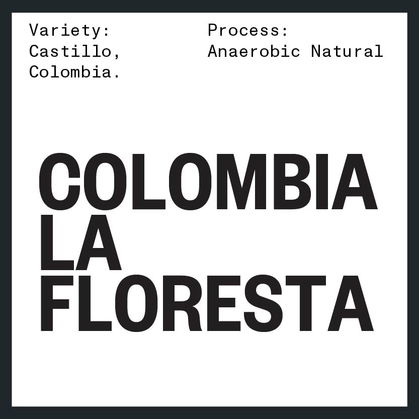 COLOMBIA LA FLORESTA BY NORA DE ZAMBRANO