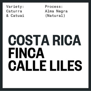 COSTA RICA CALLE LILES BY OSCAR & FRANCISCA CHACÓN