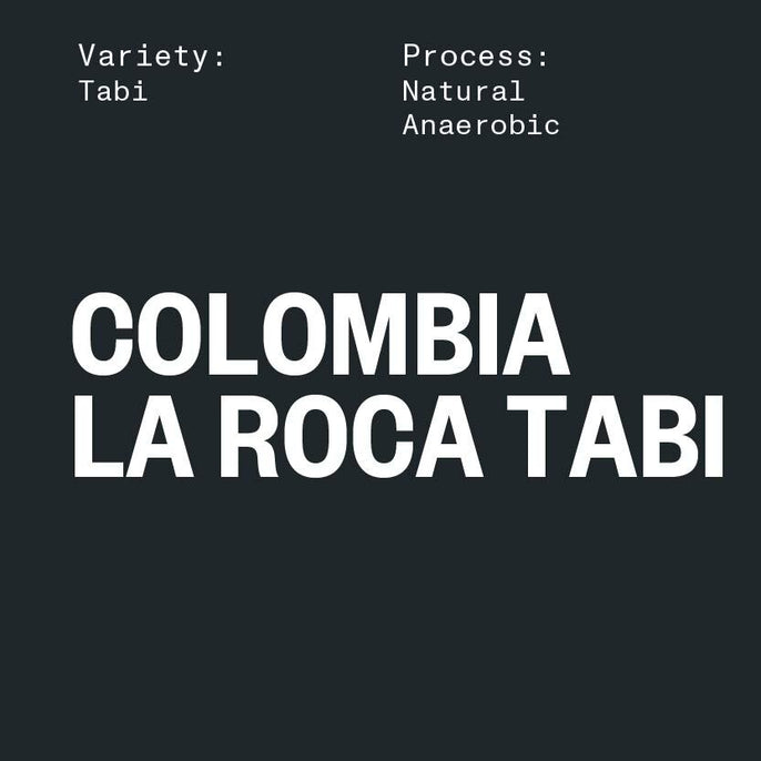 COLOMBIA, LA ROCA TABI