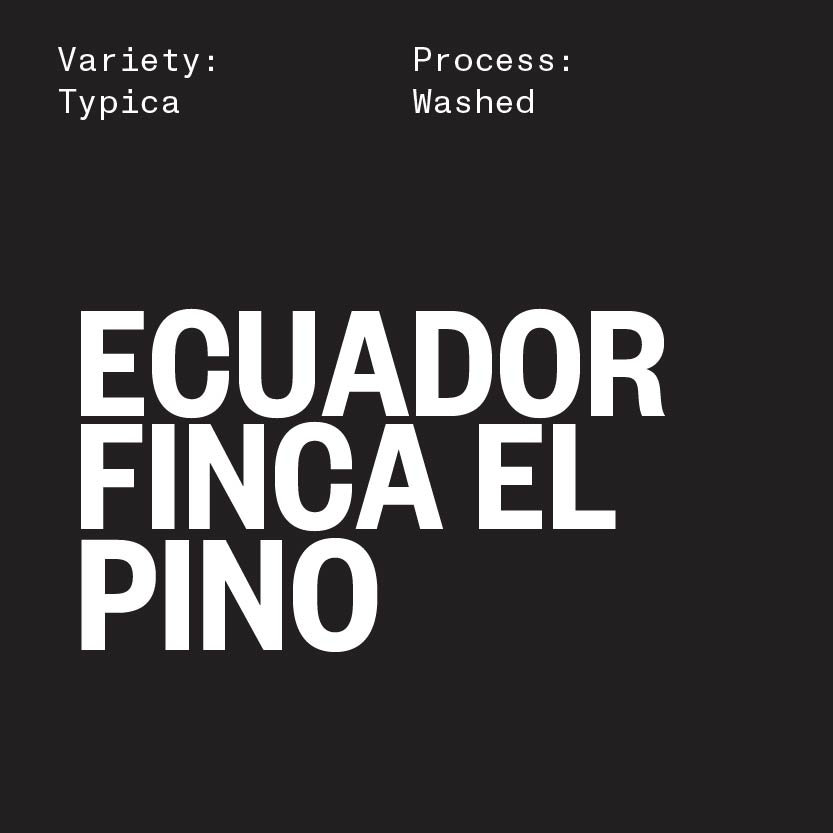 Ecuador Finca El Pino by William Abed