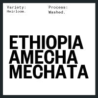 Ethiopia Amecha Mechata