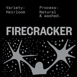 FIRECRACKER