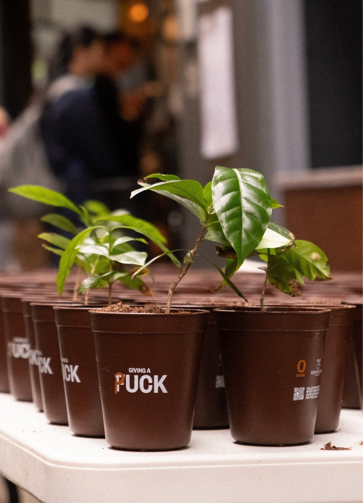 A Pucking Epic Launch Week!