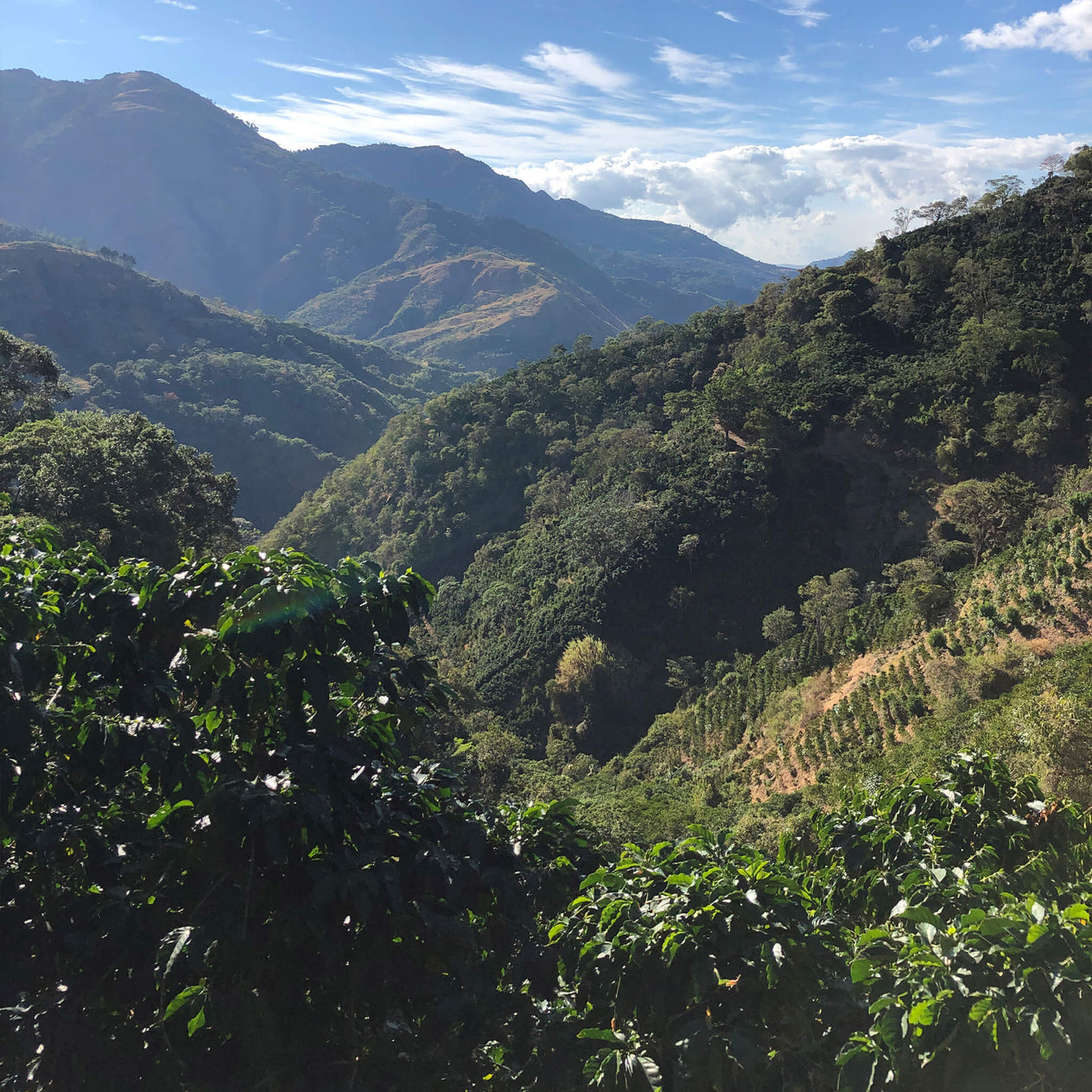 A ‘CHUTE AND A SHOOT FROM COSTA RICA