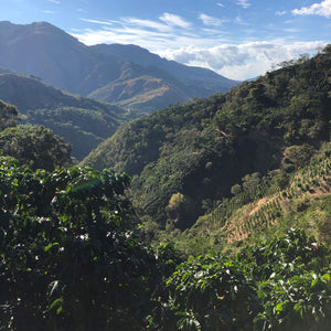 A ‘CHUTE AND A SHOOT FROM COSTA RICA