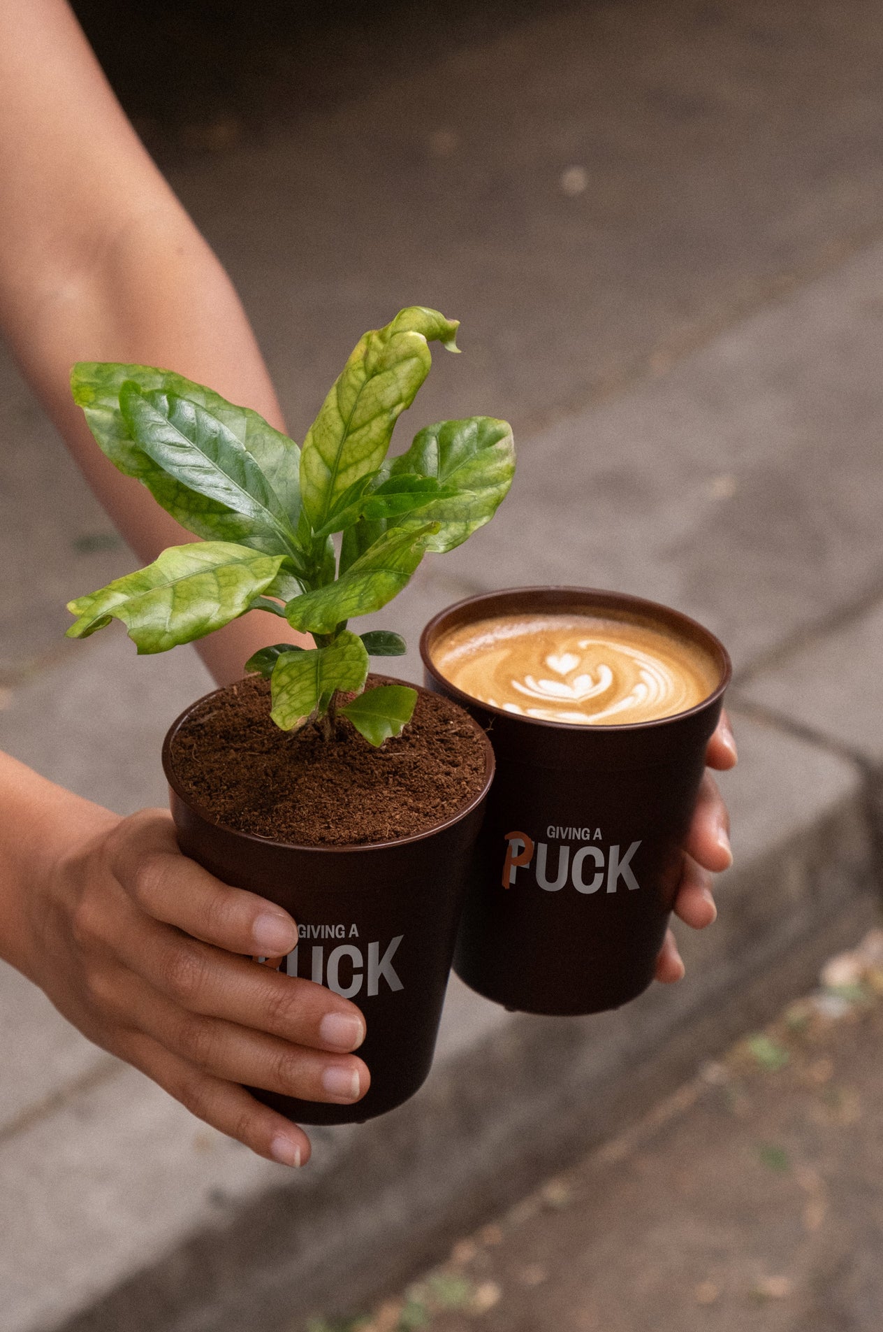 DISHING THE DIRT FREE COFFEE DAY!