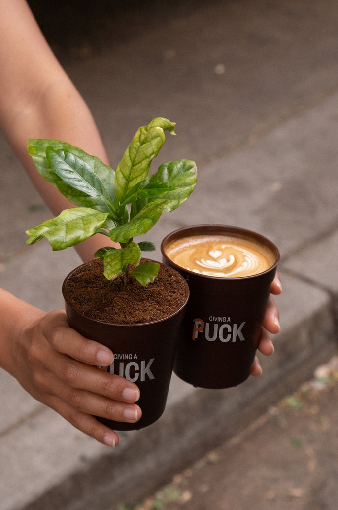 DISHING THE DIRT FREE COFFEE DAY!
