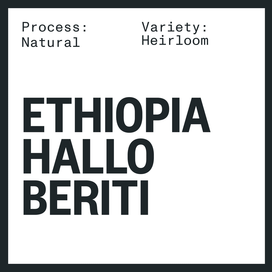 ETHIOPIA HALLO BERITI