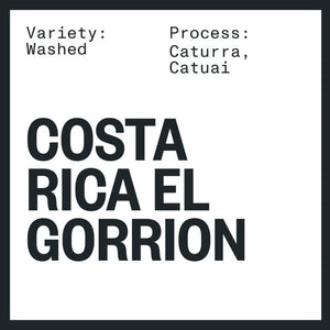 Costa Rica El Gorrion