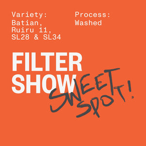 FILTER SHOW - SWEET SPOT