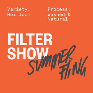 FILTER SHOW - SUMMER FLING