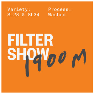 FILTER SHOW - 1900M