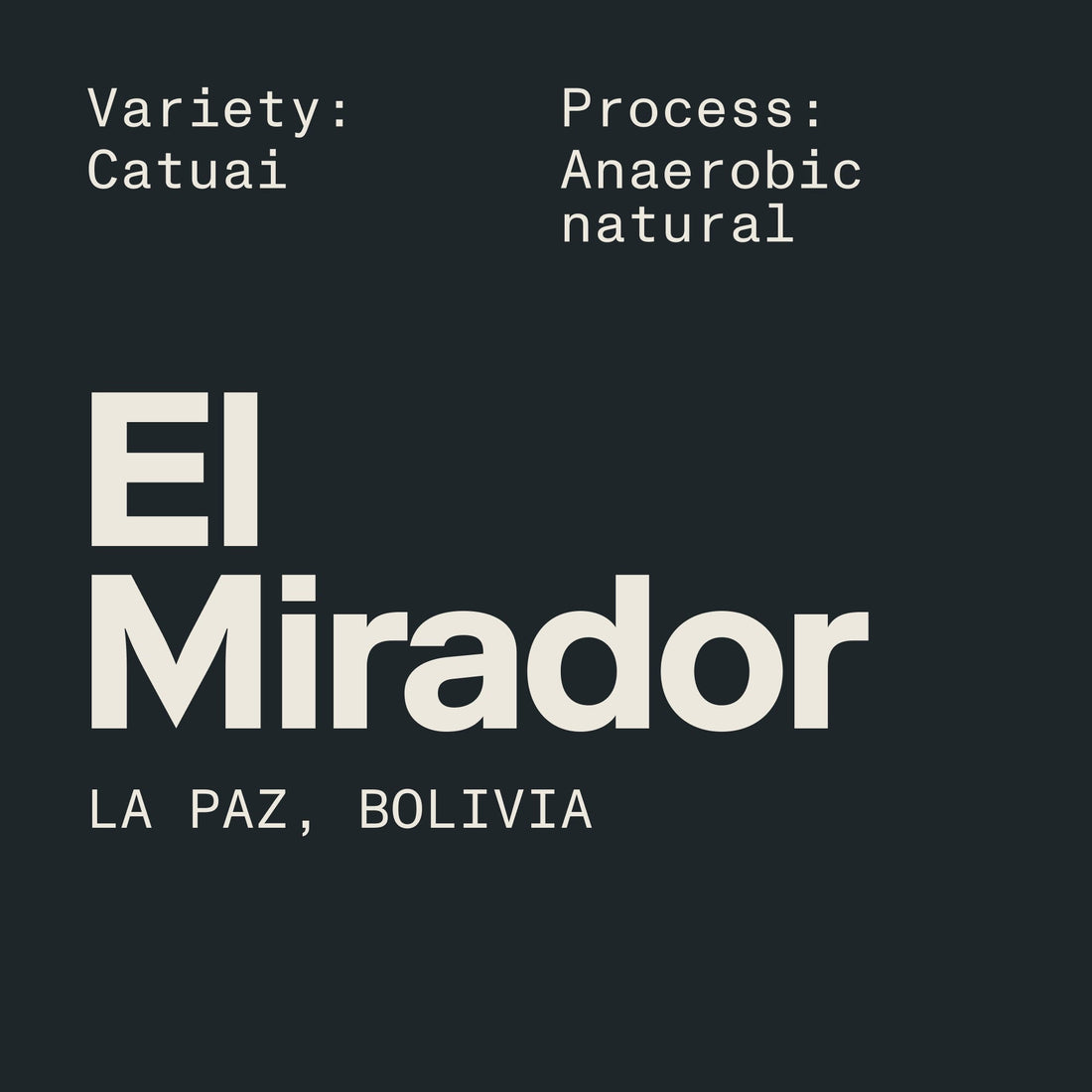 El Mirador