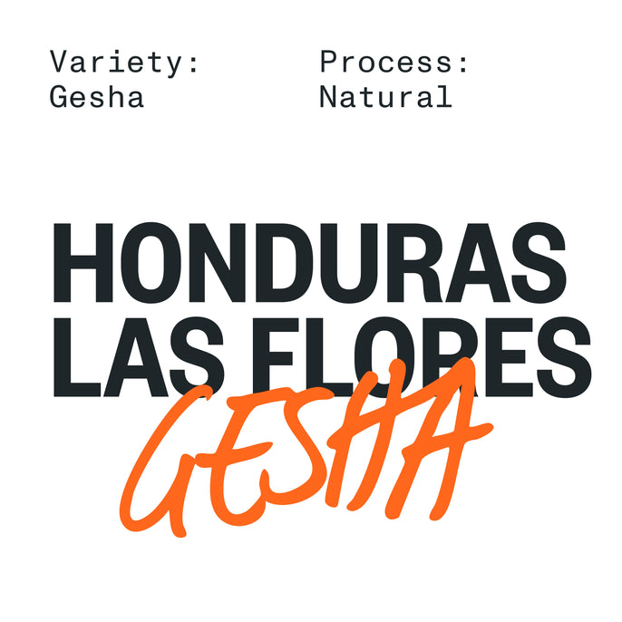 HONDURAS LAS FLORES GESHA NATURAL