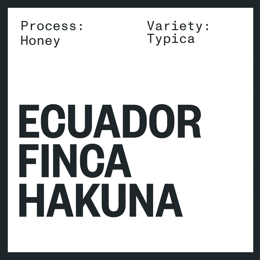 ECUADOR FINCA HAKUNA