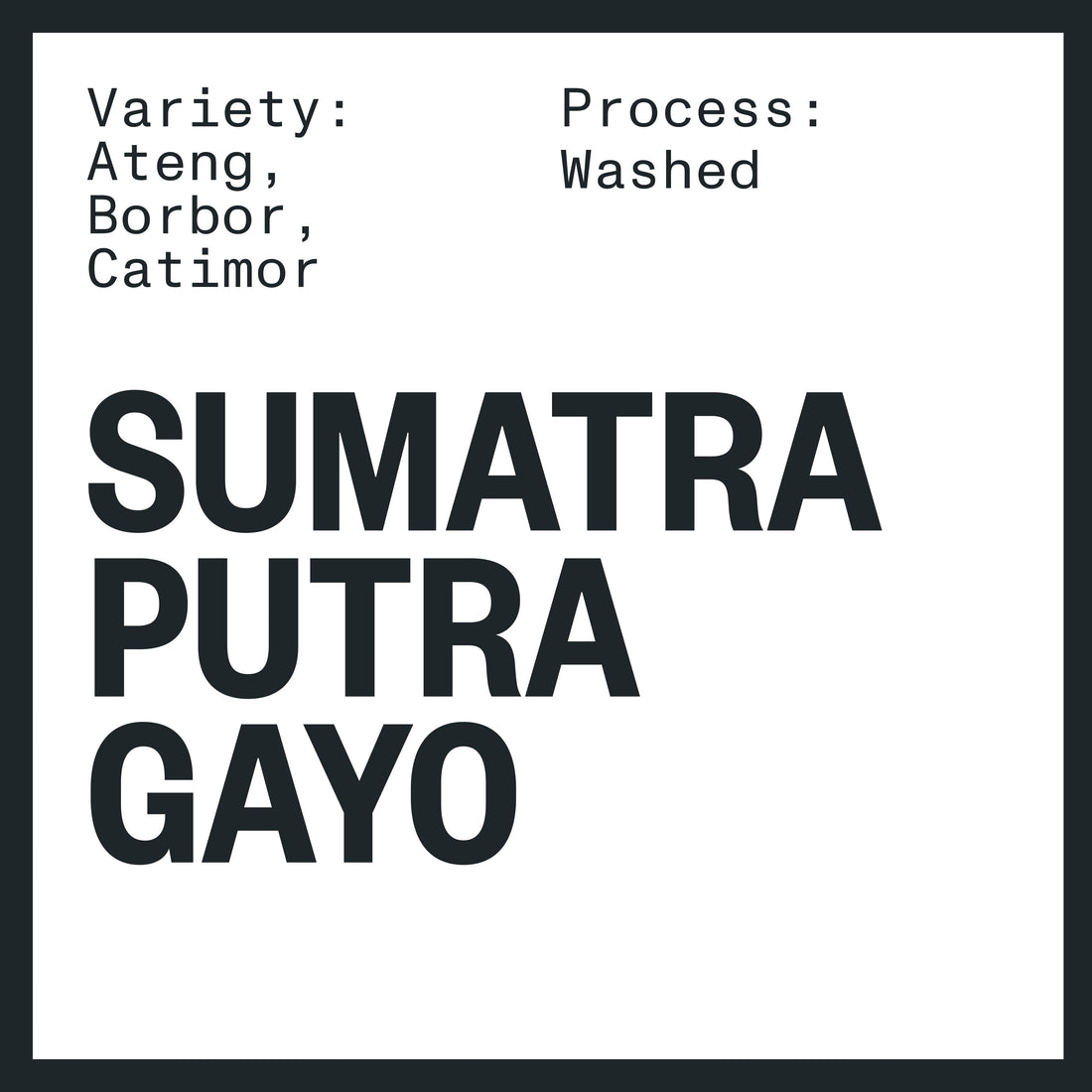 SUMATRA PUTRA GAYO WASHED
