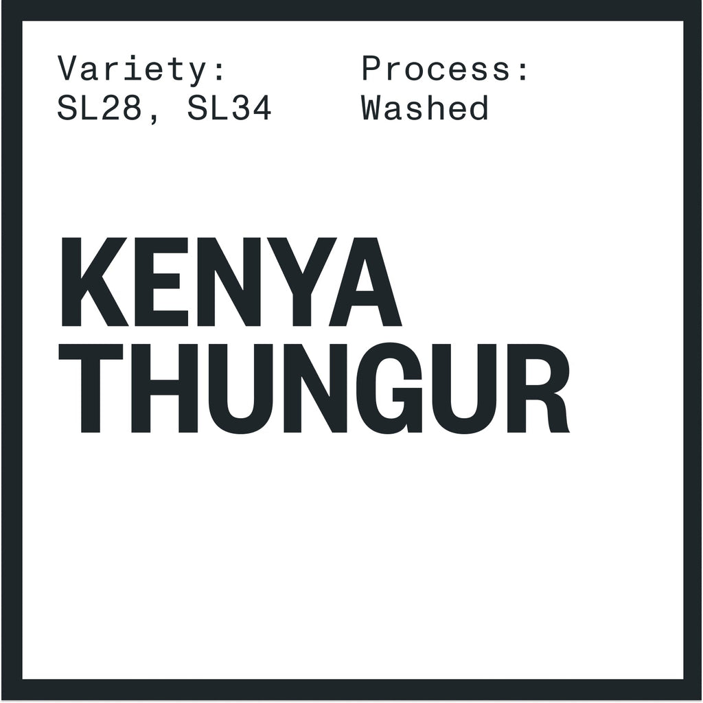 KENYA THUNGURI Single O Kenya thunguri single o