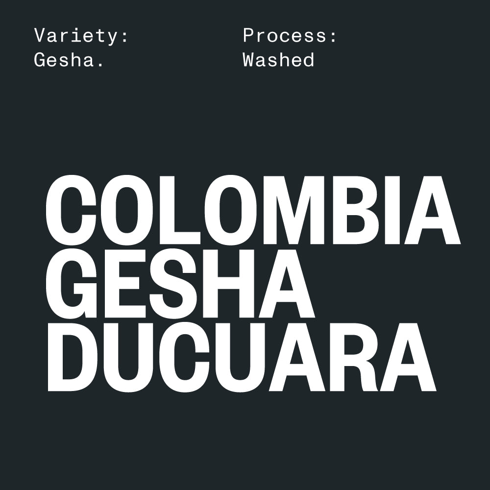 Colombia Gesha Ducuara