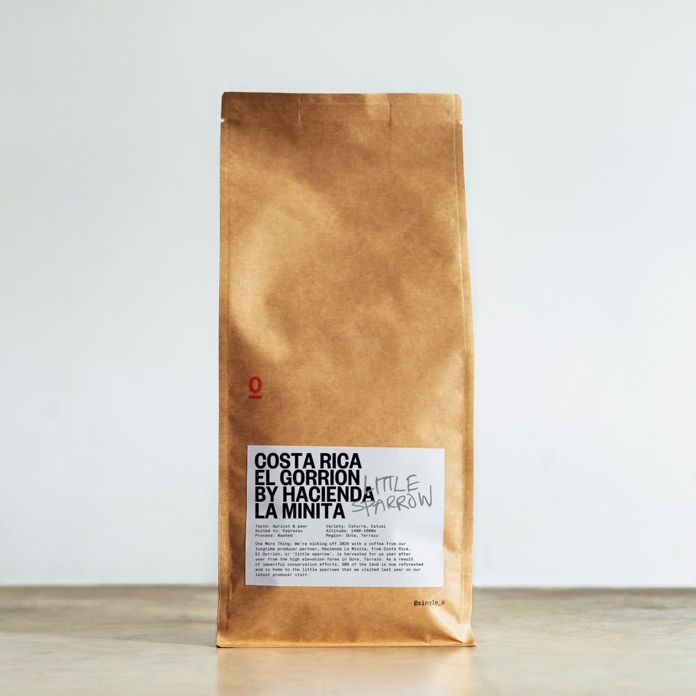 COSTA RICA EL GORRION