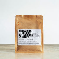 COSTA RICA EL GORRION