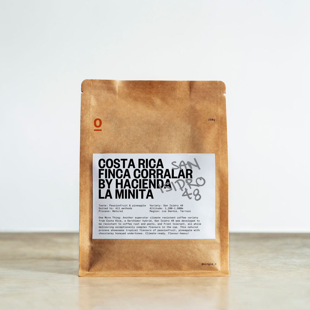 Costa Rica Finca Corralar