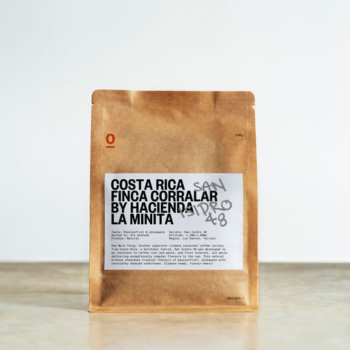 COSTA RICA FINCA CORRALAR