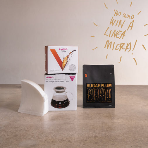 SUGARPLUM LET IT SLOW (DRIP)