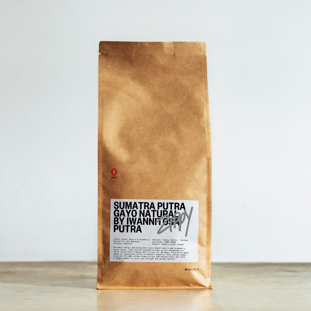 SUMATRA PUTRA GAYO NATURAL