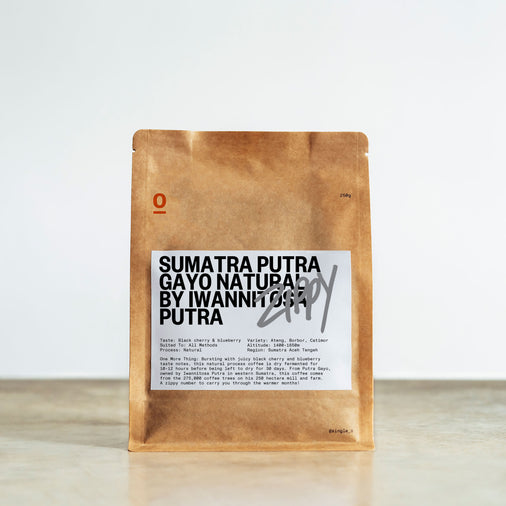 SUMATRA PUTRA GAYO NATURAL