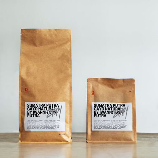 SUMATRA PUTRA GAYO NATURAL