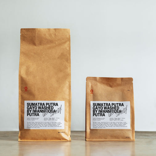 SUMATRA PUTRA GAYO WASHED